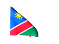 THE EMBASSY OF THE REPUBLIC OF NAMIBIA BRAZIL