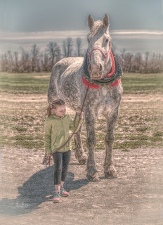 Julia & Cruiser