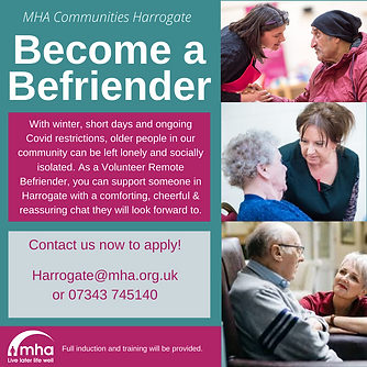 Remote Befriender HG (1).png