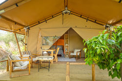 Safari tent