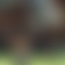 Two Hundred Ninety Nine...