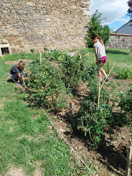 Des nouvelles du "dehors" !!!