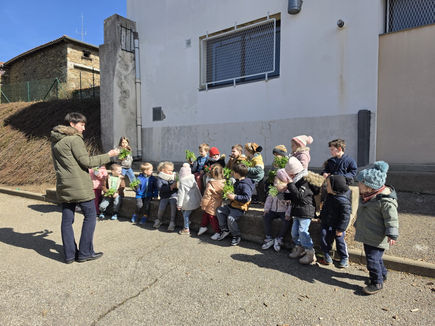 Plantations en maternelle