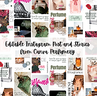 plantillas editables perfumes