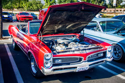 IMG_2597CRAIG 442