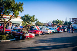 IMG_1669CRAIG 442