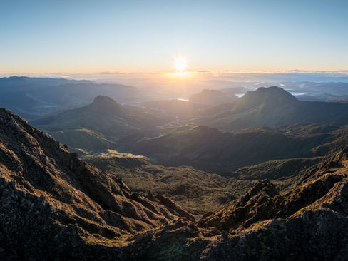 Iwi-led organisation enters next chapter to restore Te Raukūmara