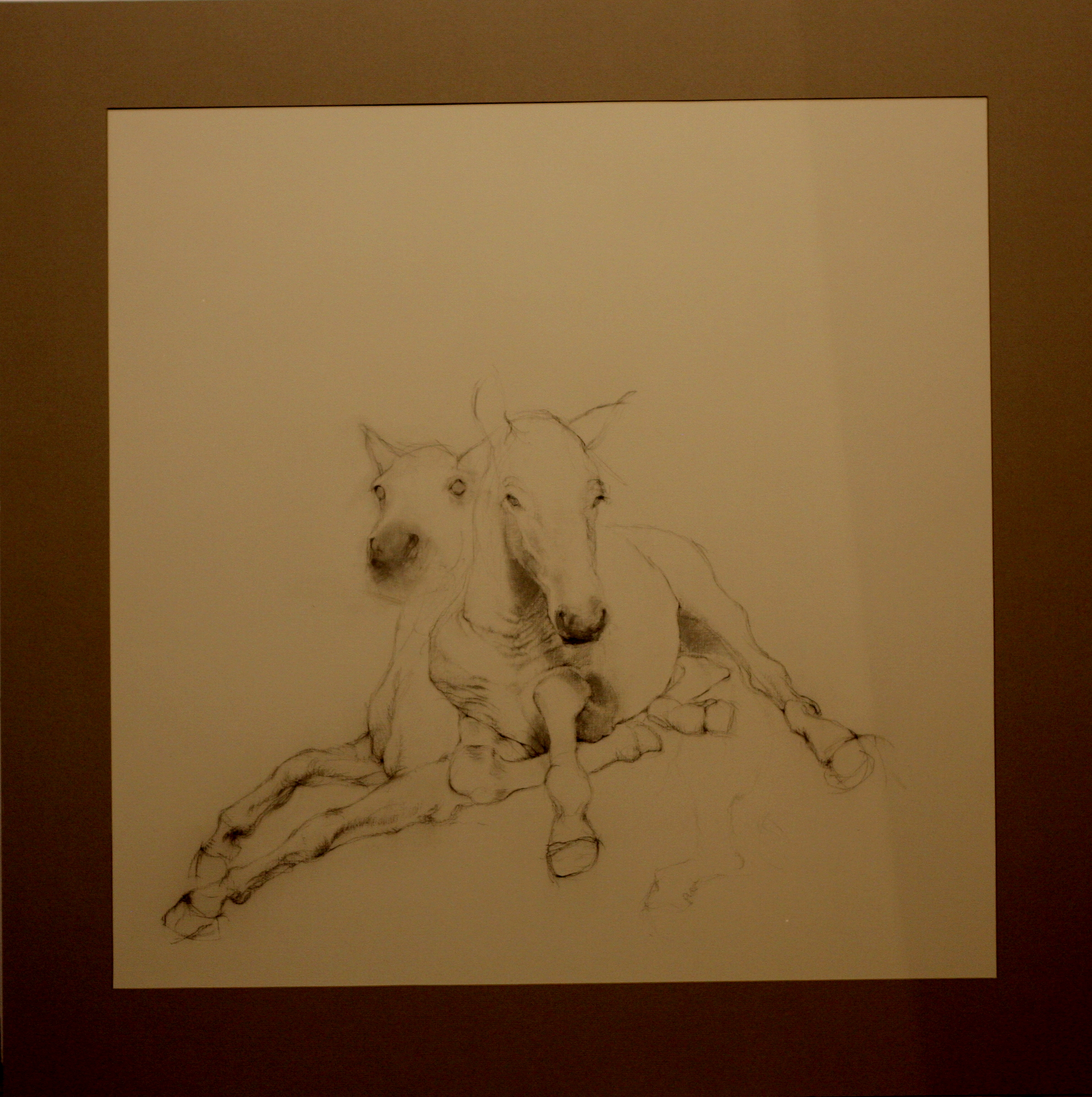 The Foal