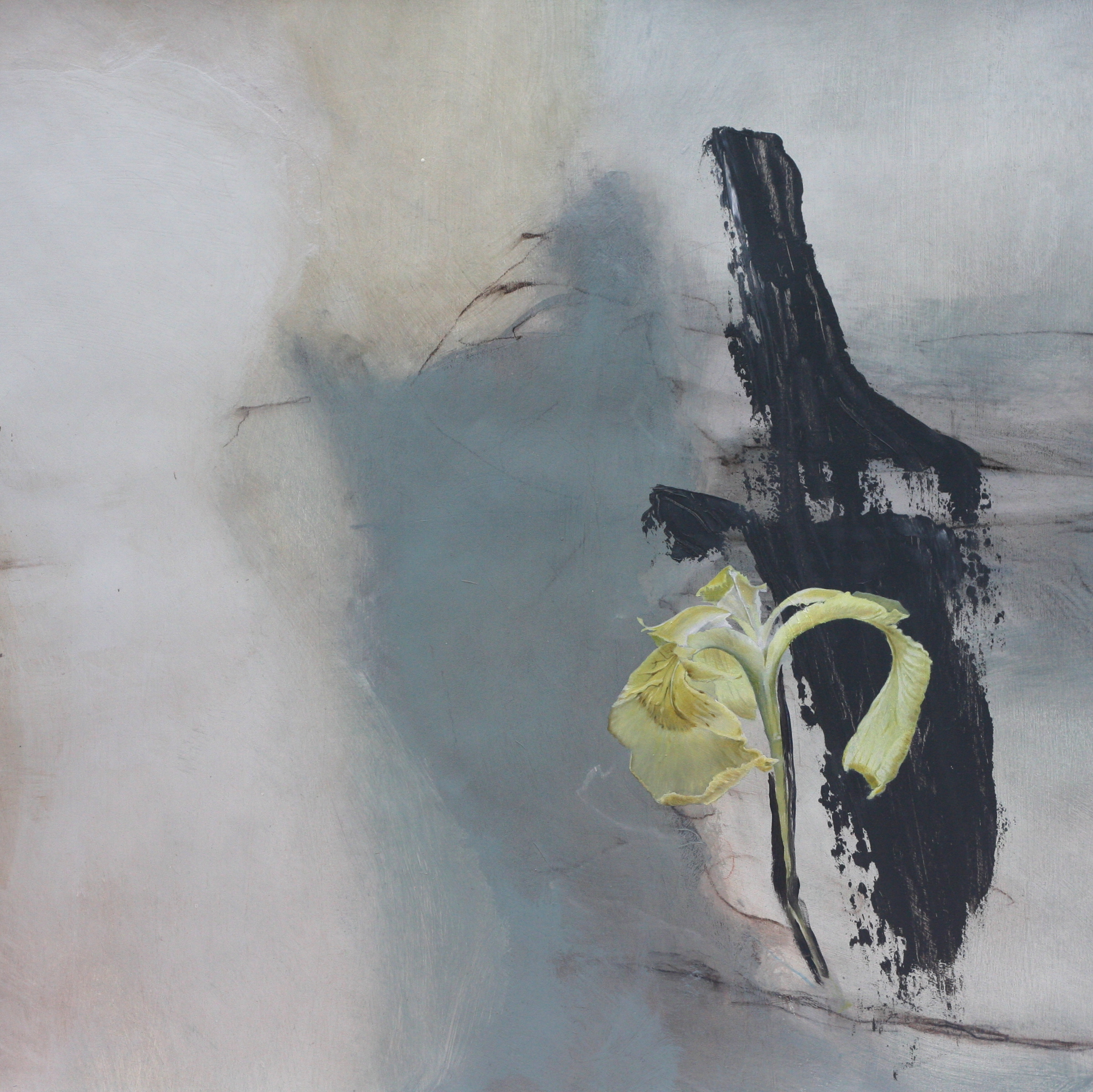 Yellow Iris
