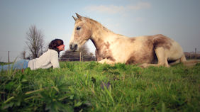 Bienvenue à toi, cher lecteur