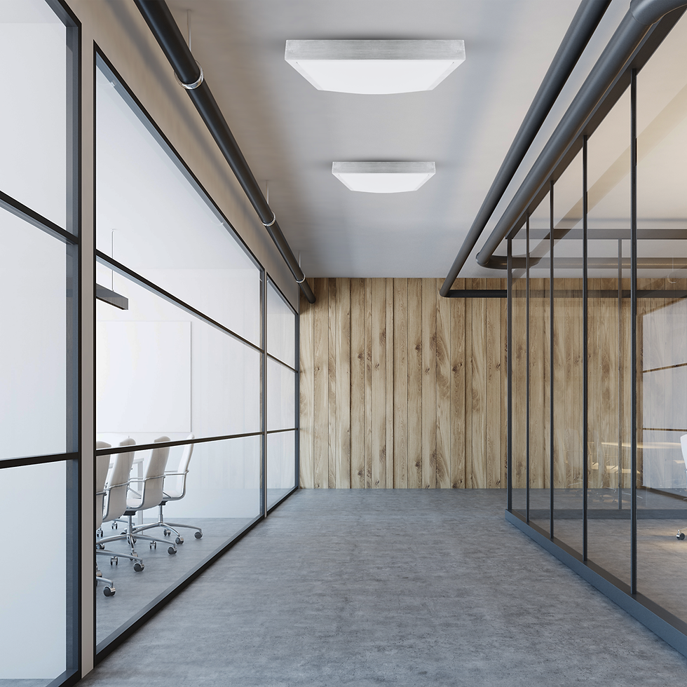 Miniaturebillede: Casilla Loftslampe 24W LED 4000K