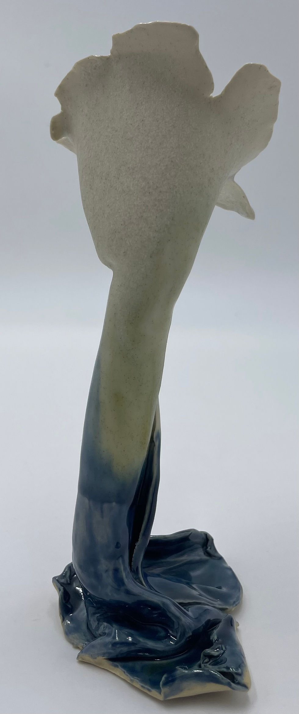 Thumbnail: Flower test