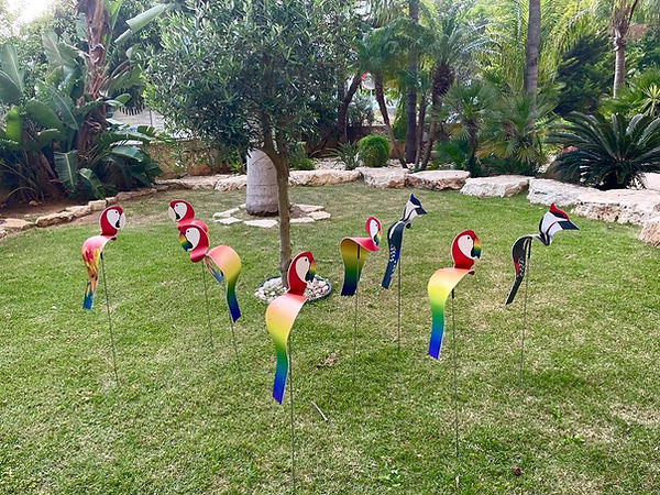 ציפורים עם צוואר קצר