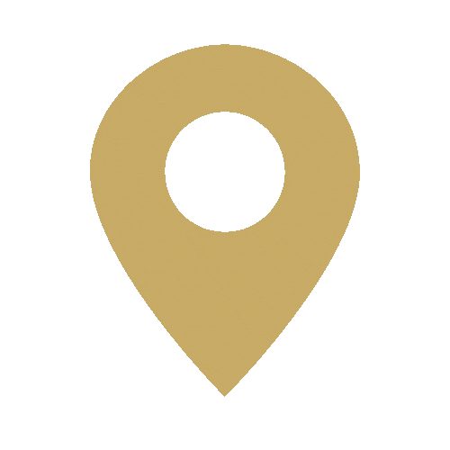 עיצוב לאתרים 2025.gif