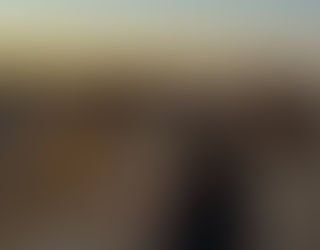 סדנת ניקוי רעלים 28-31/5 / 25-28/6