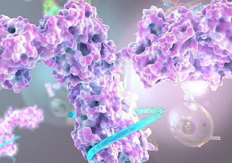 A modular platform for targeted RNAi therapeutics