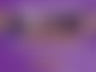 תוכנית עתיד לצפון לבעלות עסקים קטנים