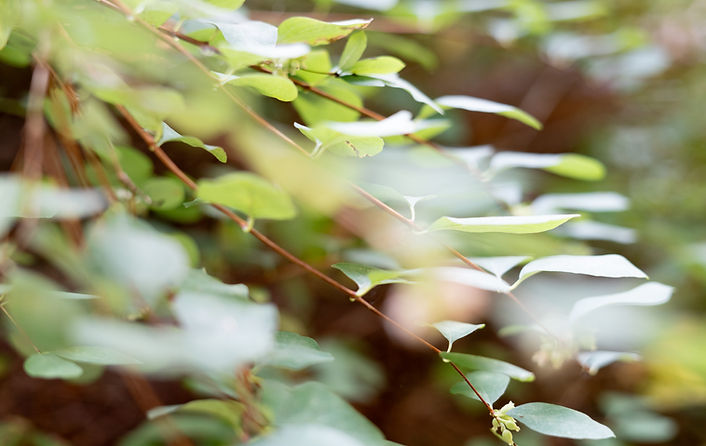 Jessi Sommer 2025-3.JPG