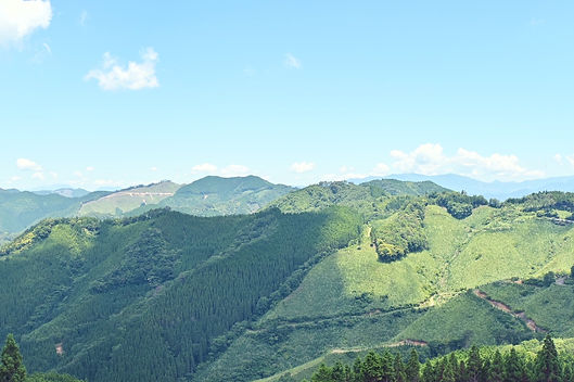 S__508616722.jpg