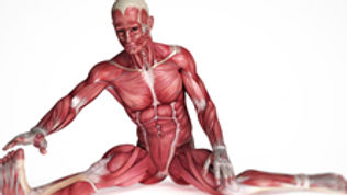 Stretching - when, what and why?
