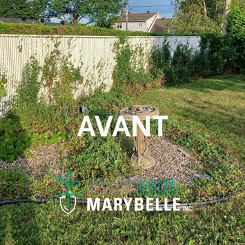 Avant le service d'aménagement paysager à Laval.jpeg
