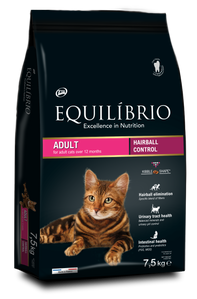 CAT ALDULT 7 5 231020.png