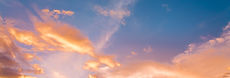 49030C17-5BDD-468A-91FF-0829127A9BCD.jpeg