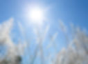 AdobeStock_84135384.jpeg