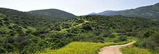 AdobeStock_36051137.jpeg