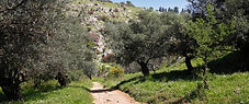 thumb_95197580_1024_edited.jpg