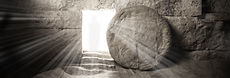 AdobeStock_331006094 (1).jpeg