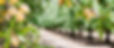 hero_home-page-rotator_almond.jpg