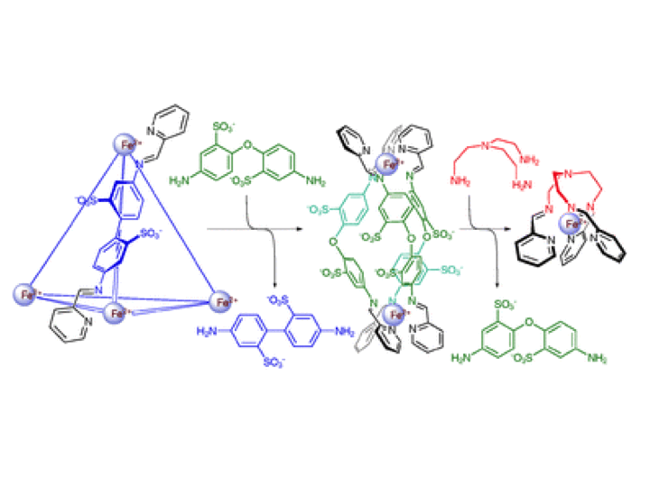 35. Sequential self-assembly of iron structures in water