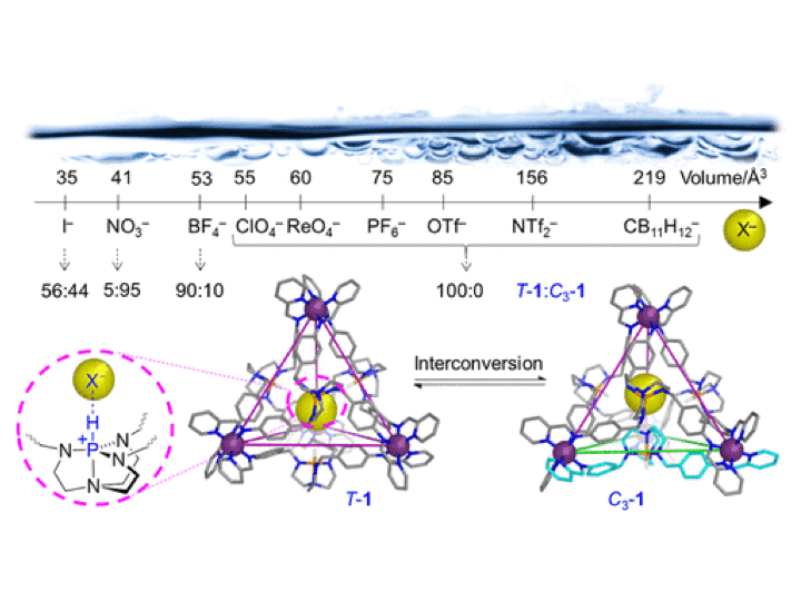 123. Anion Binding in Water Drives Structural Adaptation in an Azaphosphatrane-Functionalized FeII4L4 Tetrahedron