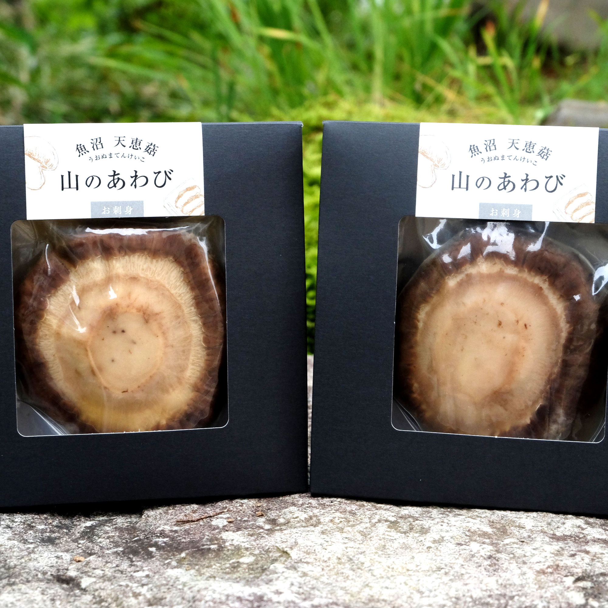 【通販の虎 / 令和の虎】山のあわび 魚沼天恵菇 お刺身〈2個セット〉（送料込・税込）