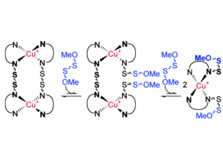 22. Disulfides, imines and metal coordination within a single system: interplay between three dynamic equilibria