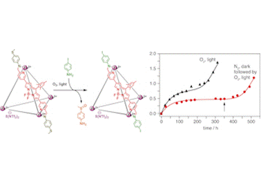 101. An Autocatalytic System of Photooxidation-Driven Substitution Reactions on a FeII4L6 Cage Framework