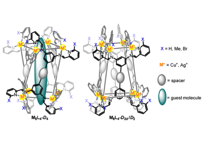 78. Empirical and Theoretical Insights into the Structural Features and Host–Guest Chemistry of M8L4 Tube Architectures