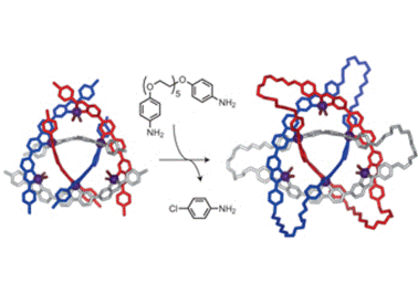 92. Two-stage directed self-assembly of a cyclic [3]catenane