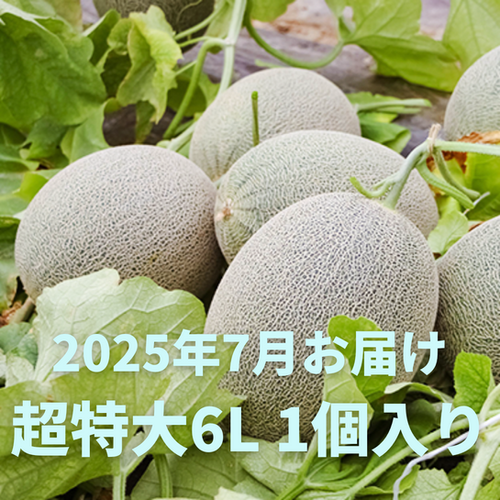 2025年7月予約】栄木農園の雲仙グリーンメロン ＜特大玉6L