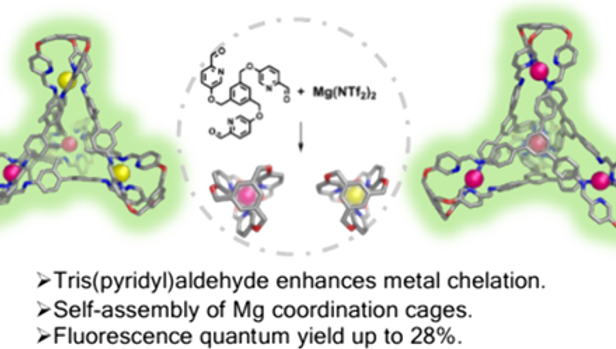 244. Chelation-Driven Self-Assembly of Luminescent Magnesium Coordination Cages