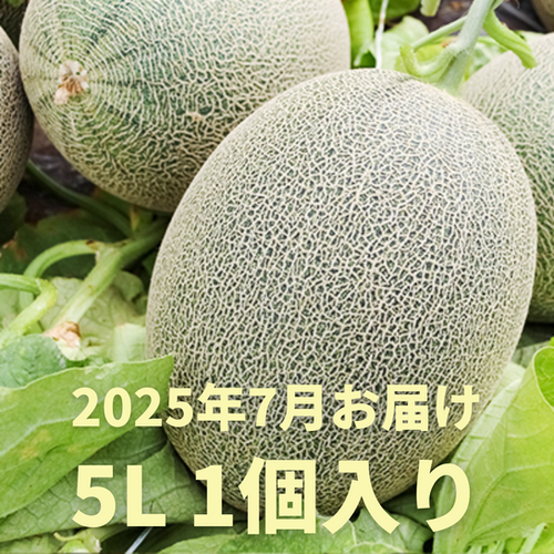 2025年7月予約】栄木農園の雲仙グリーンメロン ＜大玉5Lサイズ＞1個