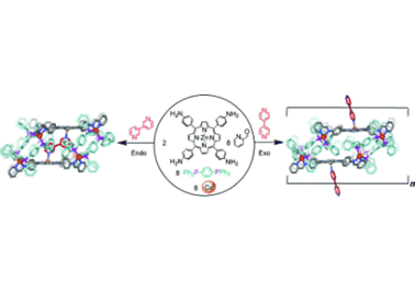 96. Selective Endo and Exo Binding of Mono- and Ditopic Ligands to a Rhomboidal Diporphyrin Prism