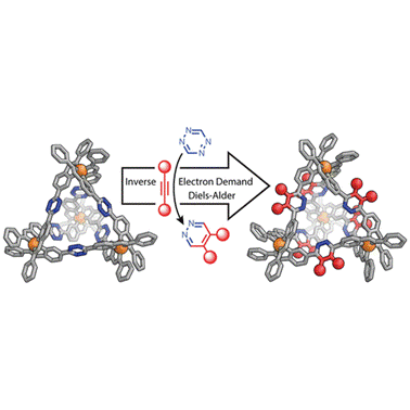 100. Post-assembly Modification of Tetrazine-Edged FeII4L6 Tetrahedra