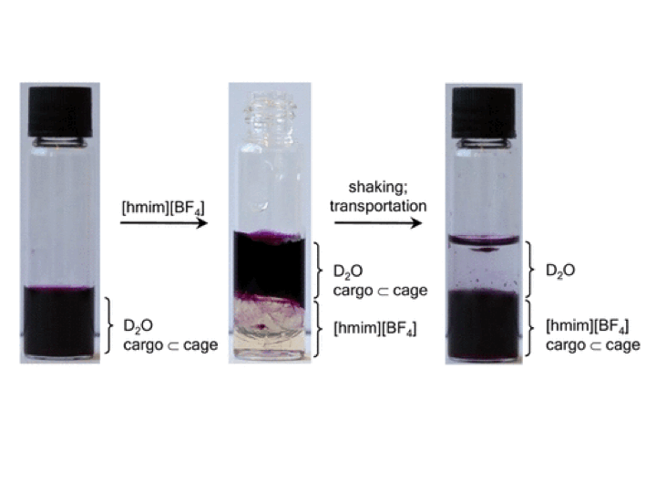 119. Directed Phase Transfer of an FeII4L4 Cage and Encapsulated Cargo