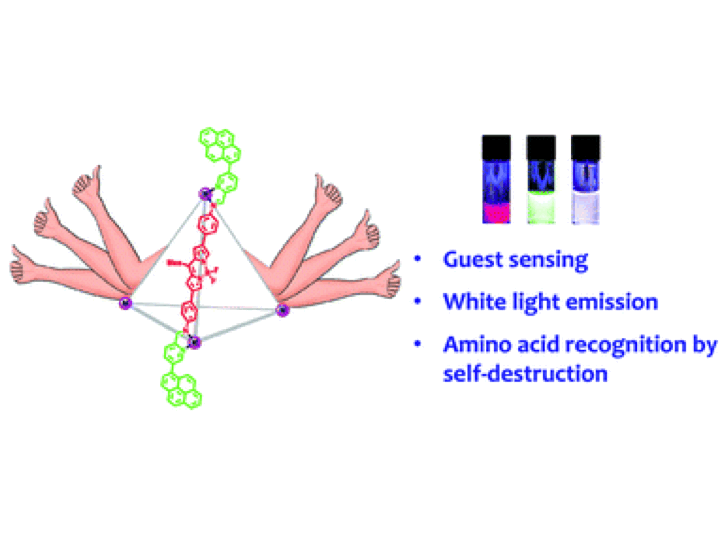 75. Fluorophore incorporation allows nanomolar guest sensing and white-light emission in M4L6 cage complexes