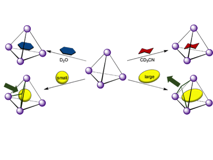 87. Solvent Effects upon Guest Binding and Dynamics of a FeII4L4 Cage