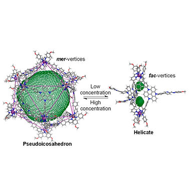 189. Templation and Concentration Drive Conversion Between a FeII12L12 Pseudo-icosahedron, a FeII4L4 Tetrahedron, and a FeII2L3 Helicate