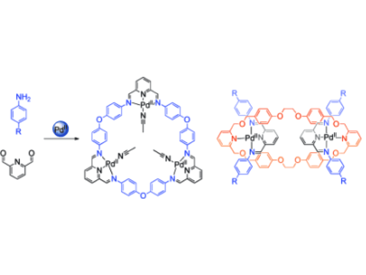 86. Palladium-Templated Subcomponent Self-Assembly of Macrocycles, Catenanes, and Rotaxanes