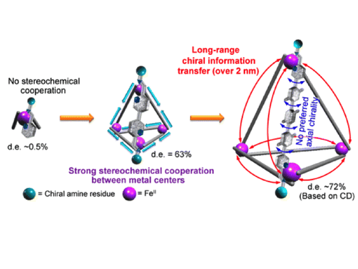 53. Efficient Long-Range Stereochemical Communication and Cooperative Effects in Self-Assembled Fe4L6 Cages